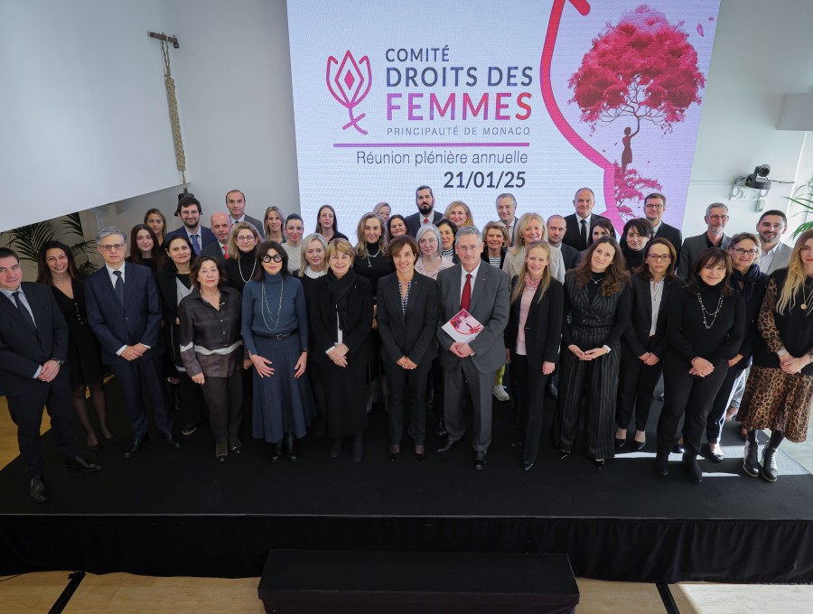 Participation du Haut Commissariat à la Réunion Plénière Annuelle du Comité Droits des Femmes en janvier 2025